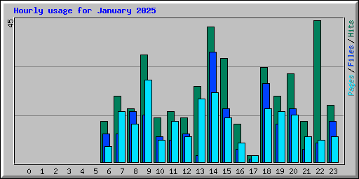 Hourly usage for January 2025