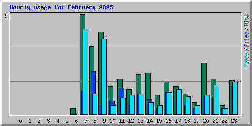 Hourly usage for February 2025
